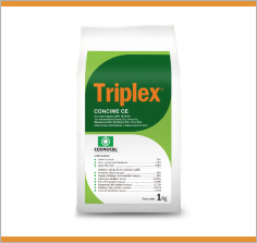 TRIPLEX