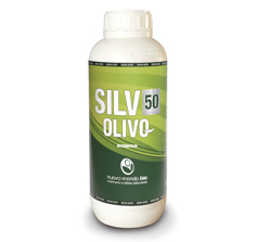 SILV 50 OLIVO