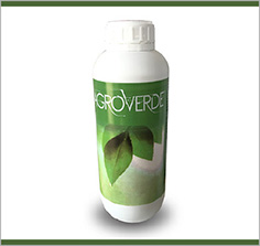 AGROVERDE